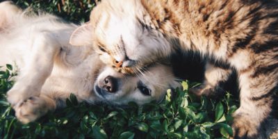 krista-mangulsone-53122-unsplash-min krista-mangulsone-53122-unsplash-min